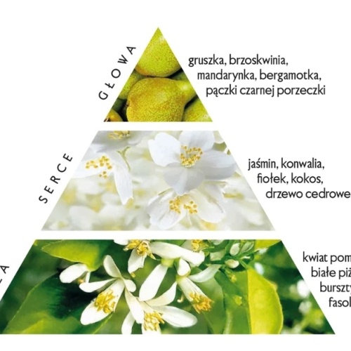 zrzut_ekranu_7-7-2025_124539_flagolie_pl