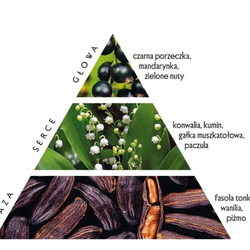 zrzut_ekranu_7-7-2025_132848_flagolie_pl